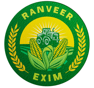 ranveerexim.com